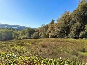 Photo 38- click for photo gallery